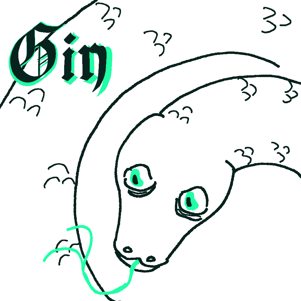 Gin